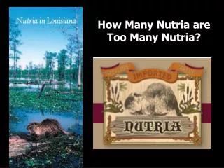 How Many Nutria are Too Many Nutria?