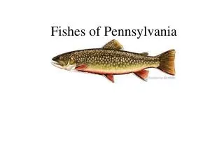 Fishes of Pennsylvania