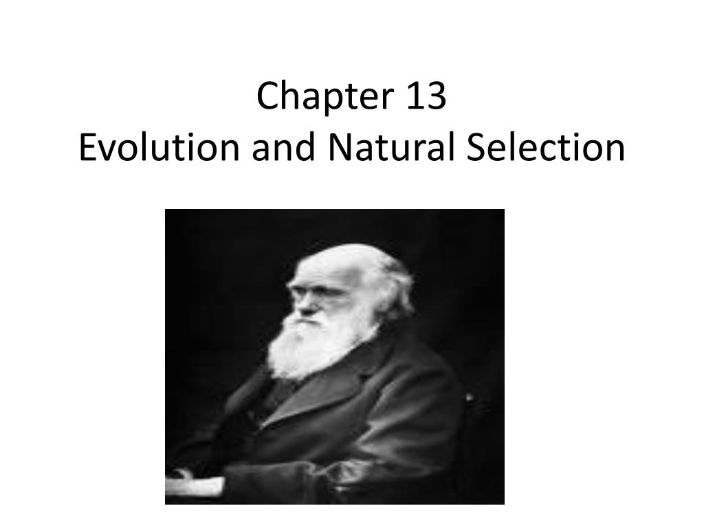 PPT - Chapter 13 Evolution and Natural Selection PowerPoint ...