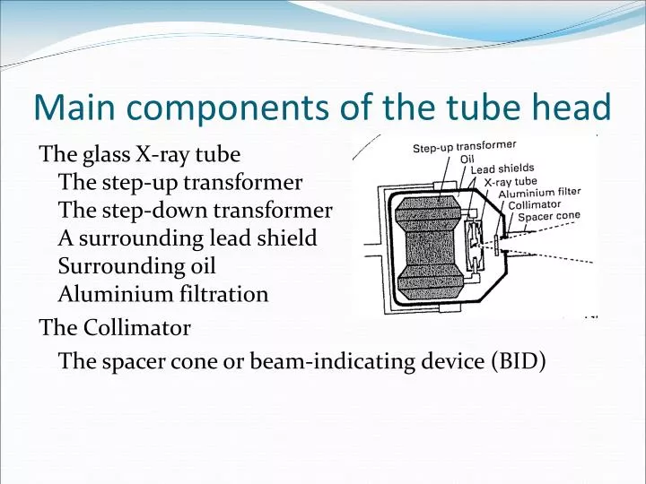 main components of the tube head