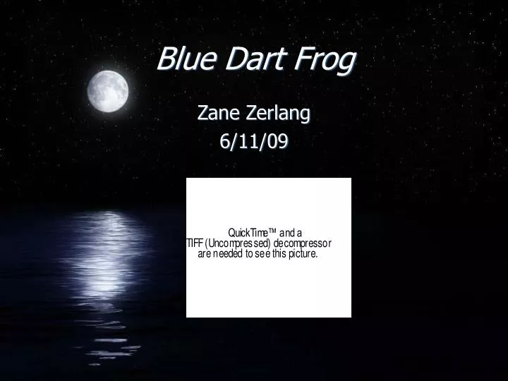 blue dart frog