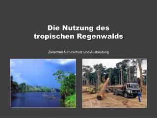 die nutzung des tropischen regenwalds
