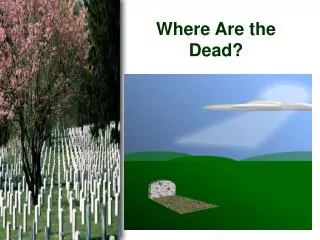 Where Are the Dead?