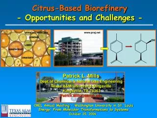 Citrus-Based Biorefinery - Opportunities and Challenges -