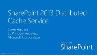 SharePoint 2013 Distributed Cache Service