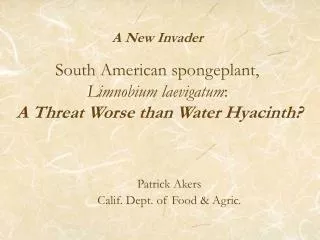 A New Invader South American spongeplant, Limnobium laevigatum : A Threat Worse than Water Hyacinth?