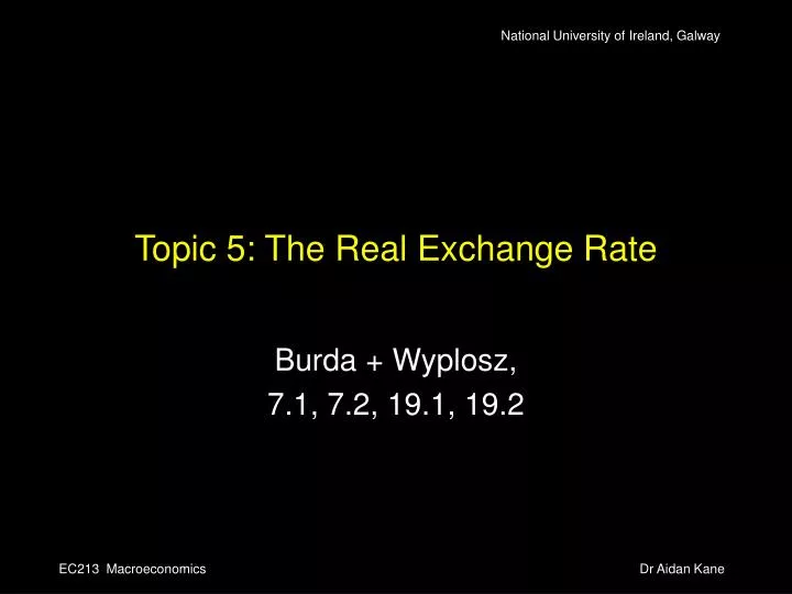 topic 5 the real exchange rate