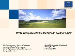 WTO, Bilaterals and Mediterranean product policy