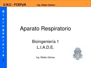 aparato respiratorio