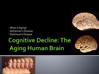 Cognitive Decline: The Aging Human Brain