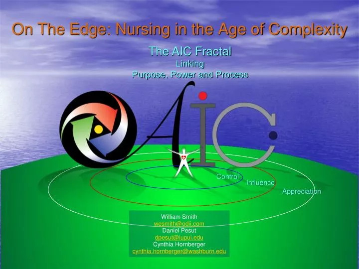 on the edge nursing in the age of complexity