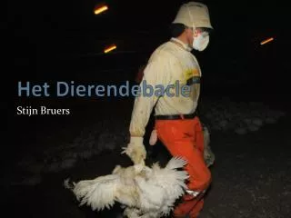 het dierendebacle