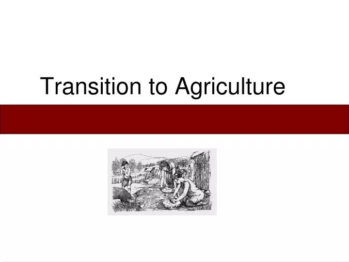 transition to agriculture