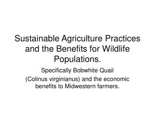 Sustainable Agriculture Practices and the Benefits for Wildlife Populations.