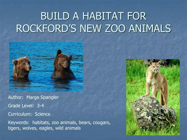 build a habitat for rockford s new zoo animals