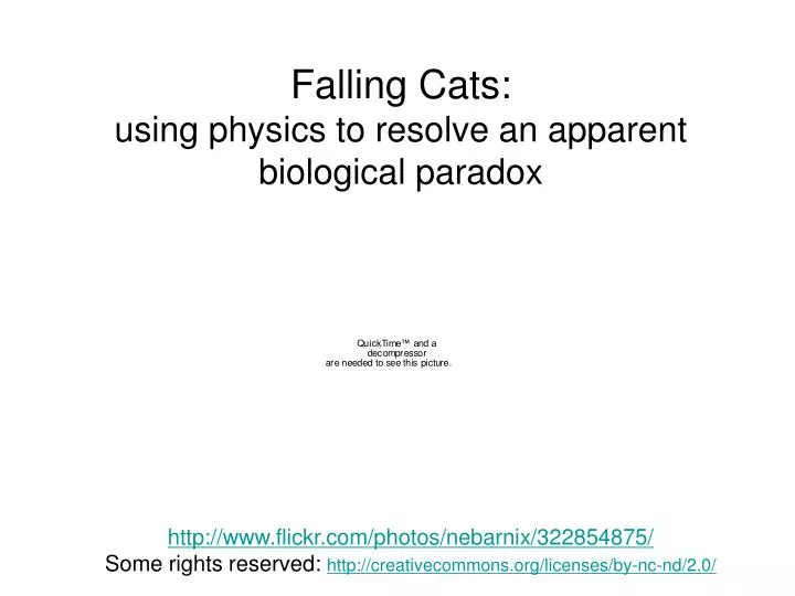 falling cats using physics to resolve an apparent biological paradox