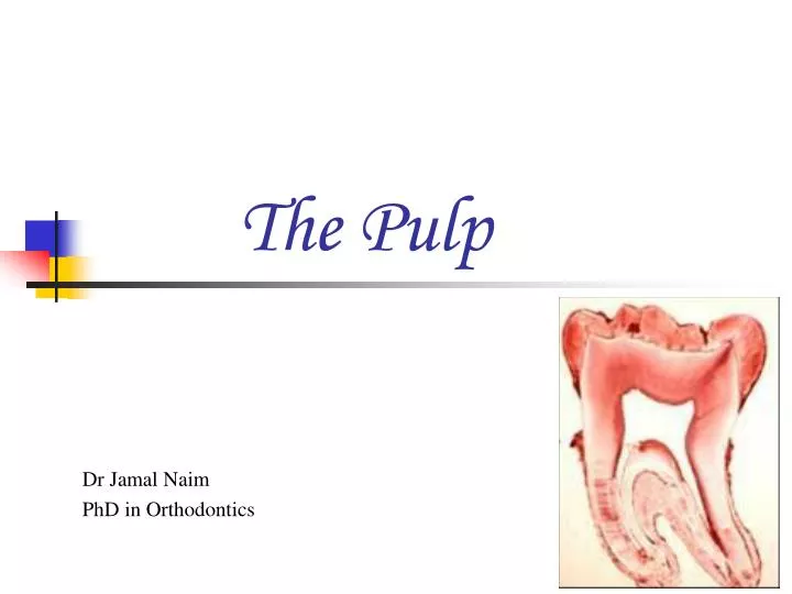 the pulp