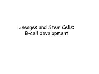Lineages and Stem Cells: B-cell development
