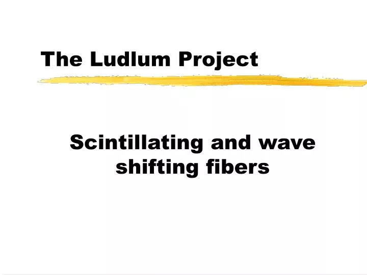 the ludlum project