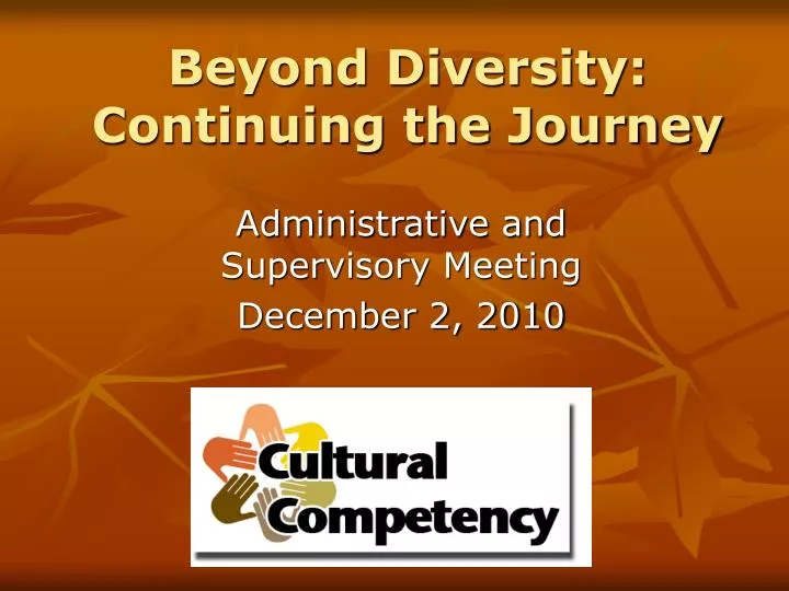 beyond diversity continuing the journey
