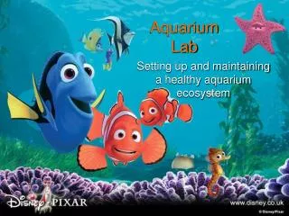 Aquarium Lab
