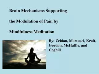 Brain Mechanisms Supporting the Modulation of Pain by Mindfulness Meditation