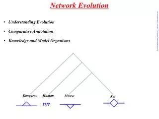 Network Evolution