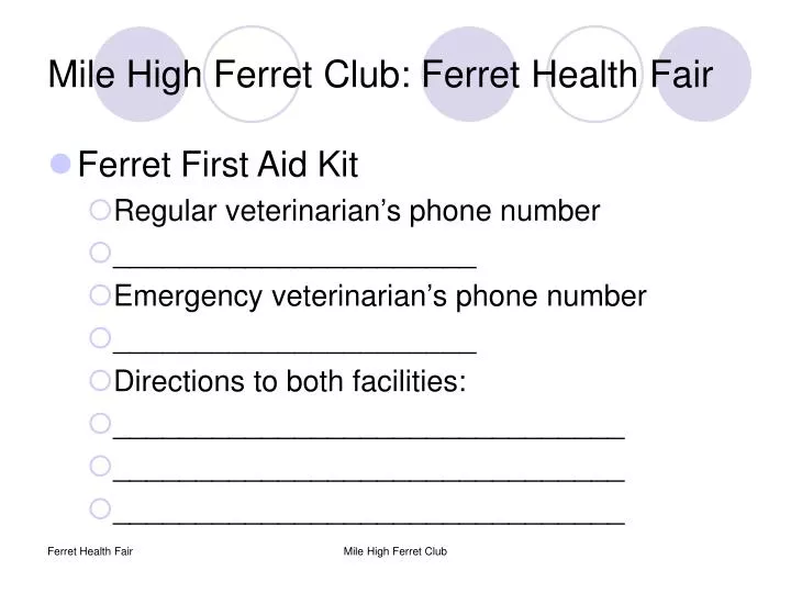 mile high ferret club ferret health fair