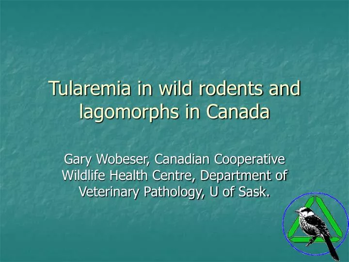 tularemia in wild rodents and lagomorphs in canada