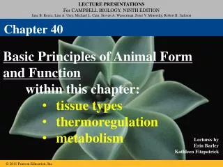 Basic Principles of Animal Form and Function 	within this chapter: tissue types thermoregulation metabolism