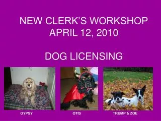 NEW CLERK’S WORKSHOP APRIL 12, 2010 DOG LICENSING