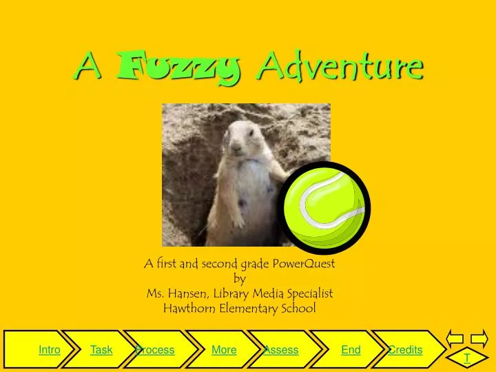 a fuzzy adventure