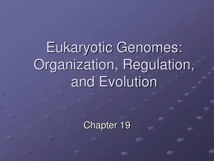 eukaryotic genomes organization regulation and evolution