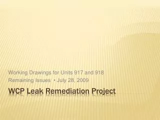 WCP Leak Remediation Project