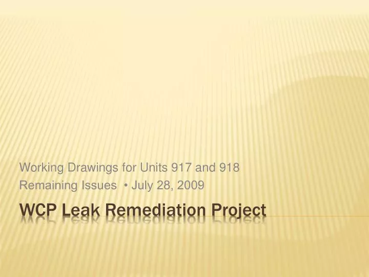 working drawings for units 917 and 918 remaining issues july 28 2009