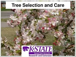 Tree Selection and Care