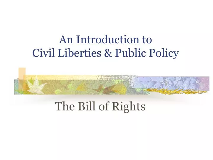 an introduction to civil liberties public policy