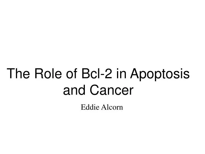 the role of bcl 2 in apoptosis and cancer