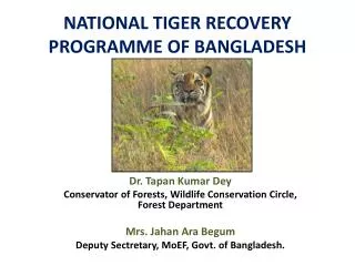 NATIONAL TIGER RECOVERY PROGRAMME OF BANGLADESH
