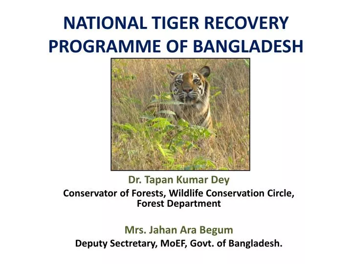 national tiger recovery programme of bangladesh