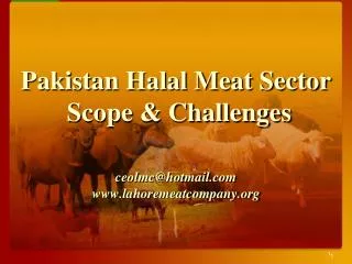 Pakistan Halal Meat Sector Scope &amp; Challenges ceolmc@hotmail.com www.lahoremeatcompany.org