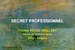 SECRET PROFESSIONNEL - slide 1
