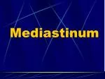 Mediastinum - slide 1