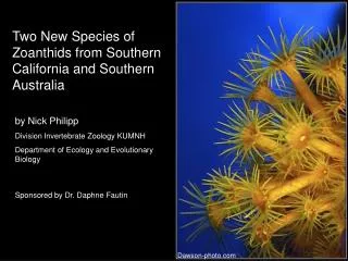 Two New Species of Zoanthids from Southern California and Southern Australia