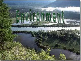 Environment