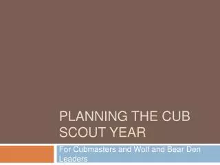 Planning the Cub Scout year
