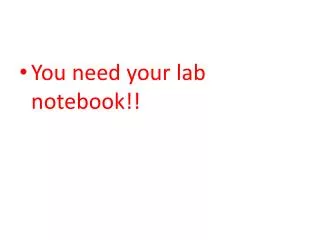 You need your lab notebook!!