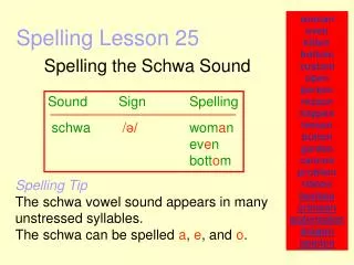 Spelling Lesson 25