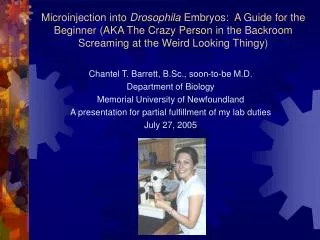 Microinjection into Drosophila Embryos: A Guide for the Beginner (AKA The Crazy Person in the Backroom Screaming at t