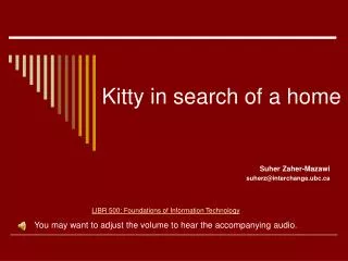 Kitty in search of a home